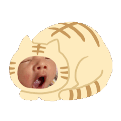 Baby初體驗