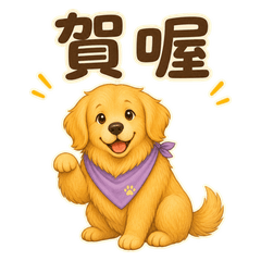 Matcha 可愛黃金獵犬 台灣口頭禪