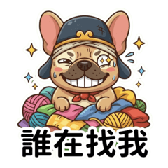 法鬥二師兄：中文4 搞笑 大貼圖!