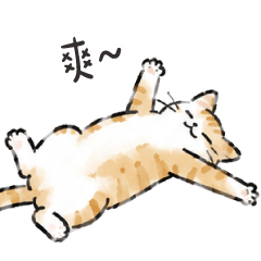 hand drawn cat7-lazy cat