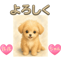 ALLIN_20260617111451