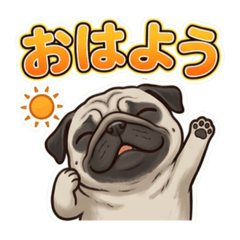 momotaro_20260617165828