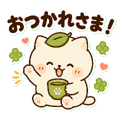 ren_20260617175541