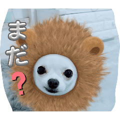 hana_20260617162611