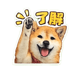 IKE_20260618082708