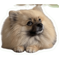 cococcha_20260618083343