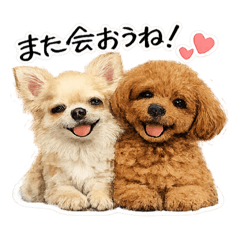 yururin_20260618084021