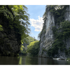 maocha_20260618094238