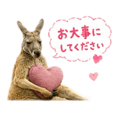 remon_20260618102449