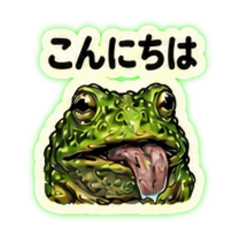 hide-_20260618113414