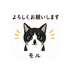 suzuran_20260618120256