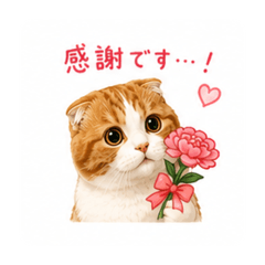 latte_20160816_2