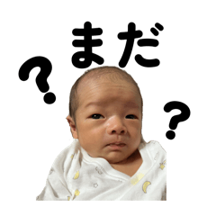 hira_20260618122016