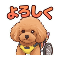 hana_20260618122709