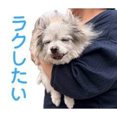 Saya_20260618120320