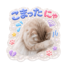 poppo_20260618123115