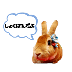moesan_20260618123115