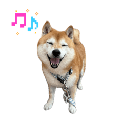 rrr_20260618124011