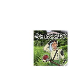 TUBAKIMELON_20260618124256