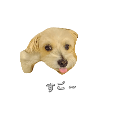 noiman