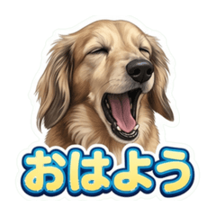 yoko_20260618125345