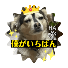 Micchan_20260618125810