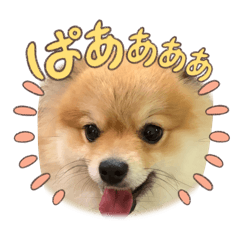 Ro_everyday