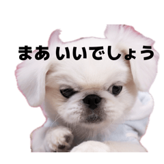 onigiri_20260618143109
