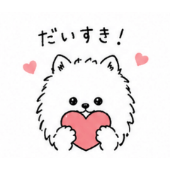 Airu_215_20260618143907