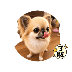 sayuri_20260618144002