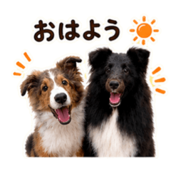 MOMO_20260618144500