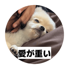kainushi_20260618152648