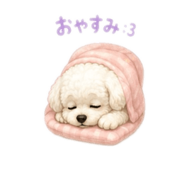 issei_20260618163704
