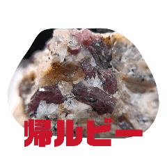 sensyouseki.ken_20260618163905