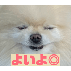 Inuwanco_20260618163859