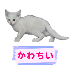 emichu_20260618164419