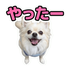 SORA_20260618164624