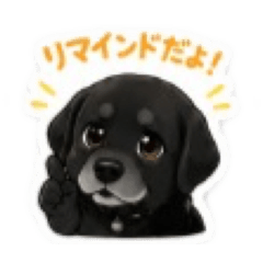 rinrin_20260618163722