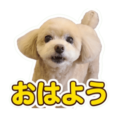marumaru_20260618170129