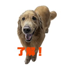 GON_20260618172804