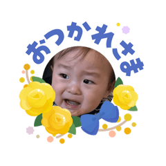 y_20260618182612