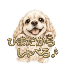 ringo_20260618183549