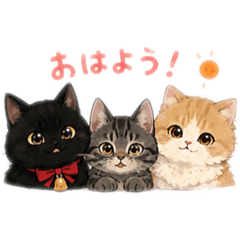 lucky_20260618183625