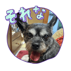shiori_20260618185744