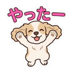 tomochin_20260618191020