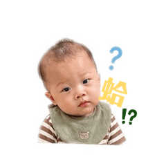 碩瓜瓜