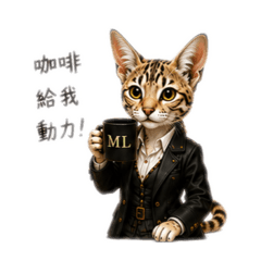肯亞貓上班日常