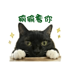 略略貓日常生活