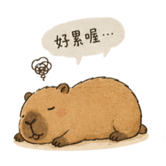 水豚圓仔2