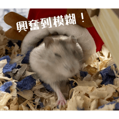 魚老師與島灰的教室